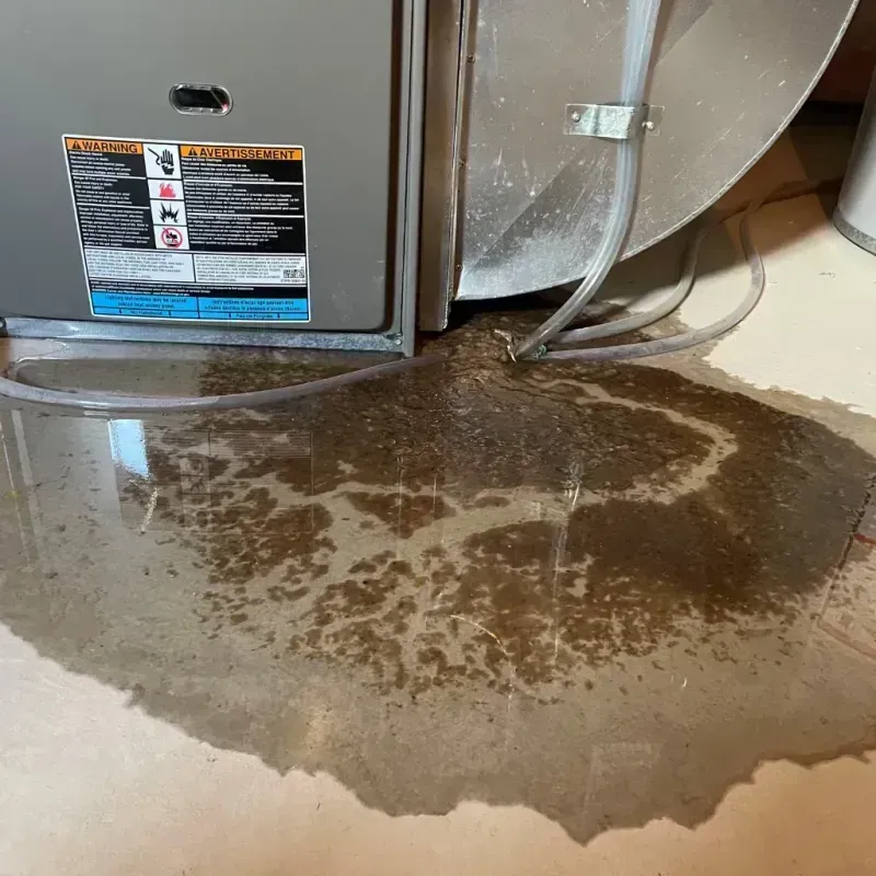 Appliance Leak Cleanup in Rockport, ME